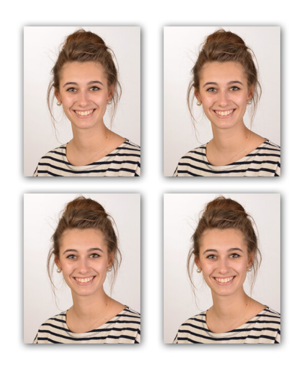 biometrische Passfotos und Fotos für Visa Foto Plichta Fotograf in Zwickau Hochzeitfotos